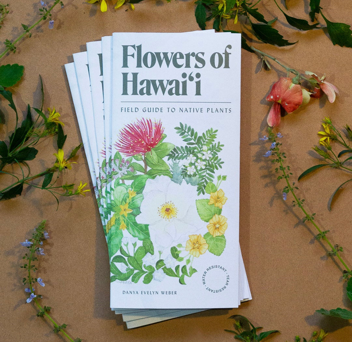 Flowers of Hawaii Field Guide