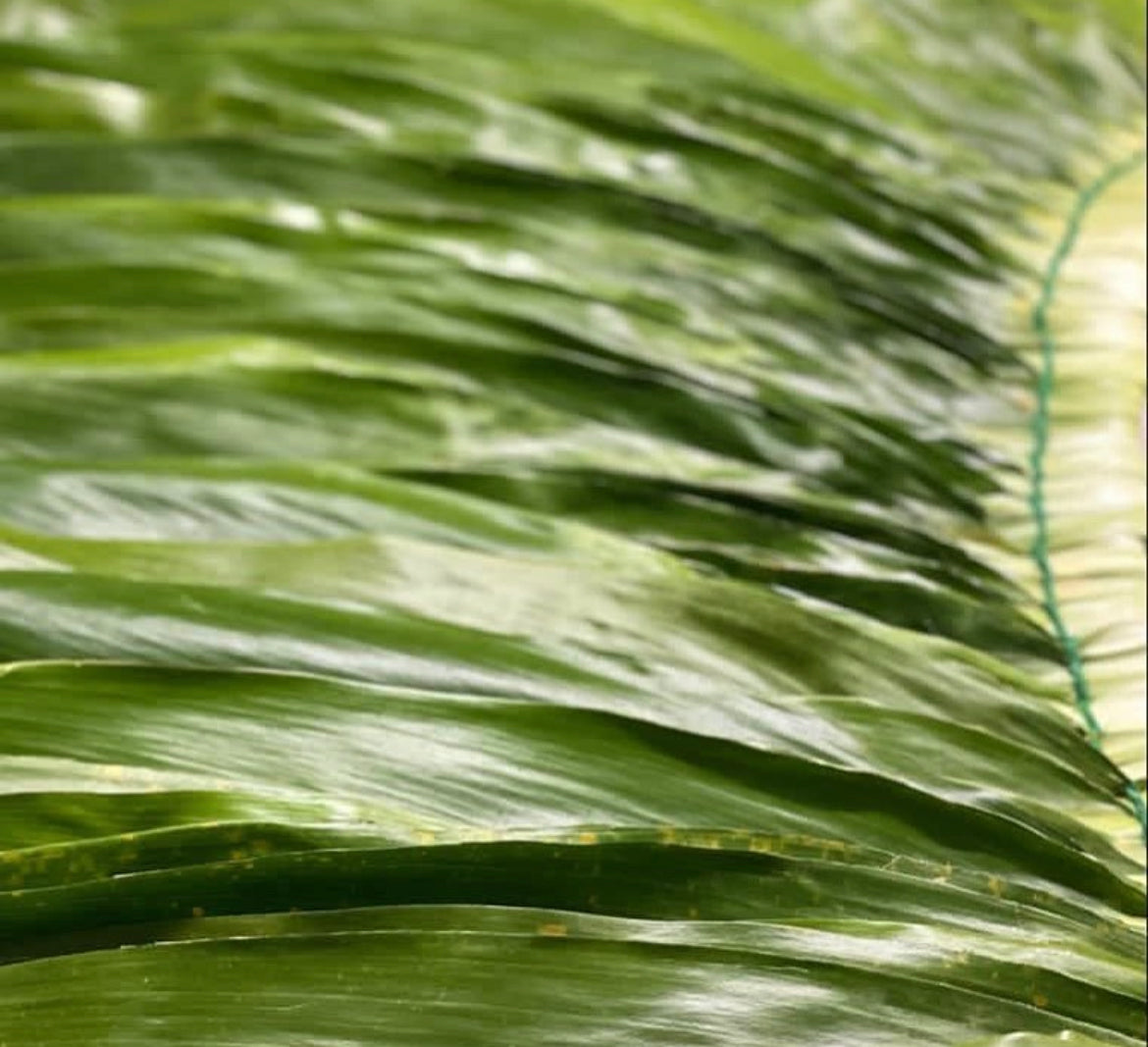 Ti Leaf Skirt