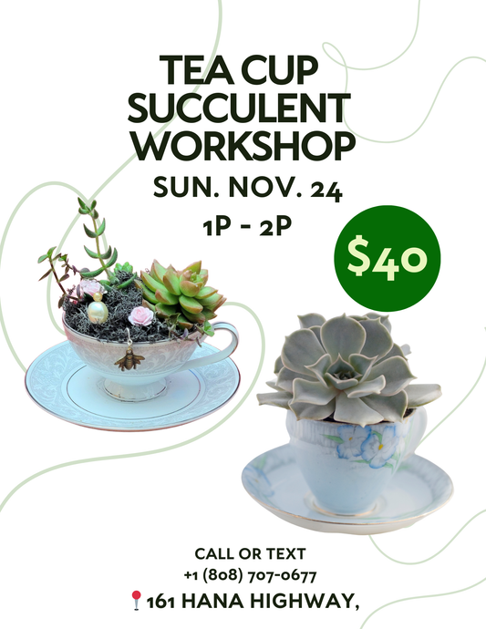 Tea Cup Succulent Workshop - Sun. Nov. 24, 2024