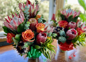 Protea Bucket or Vase